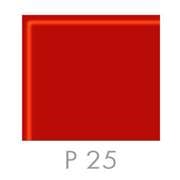 P 25