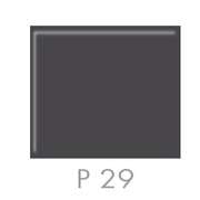 P 29